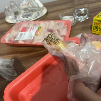 Tavukta Beklenmedik Lekeler