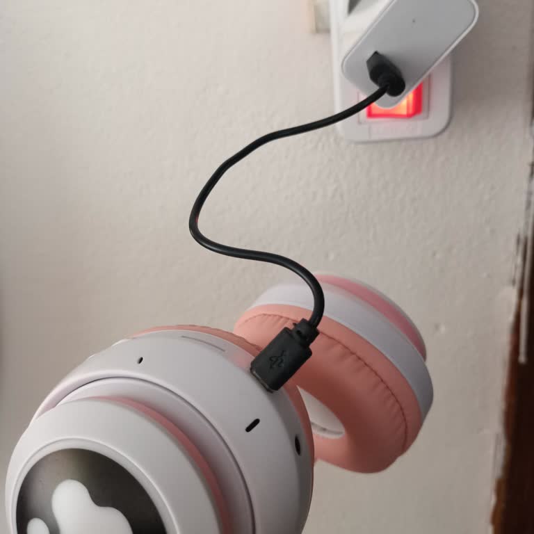 Lesgo Elektrik'ten Aldığım Kulaklık Bir Ay İçinde Bozuldu