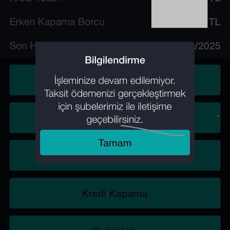 Mobil Uygulama Üzerinden Kredi Taksiti Ödeme Sorunu