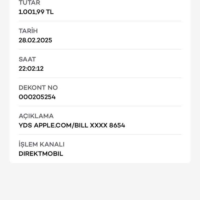 Otomatik Ödeme Şoku: Bilgilendirme Eksikliği Ve İade Talebi