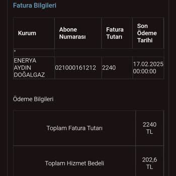 Ödenen Faturanın Hatalı Görünmesi Sorunu