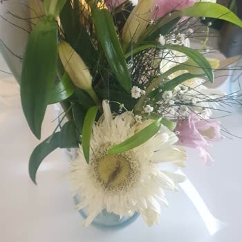 Solmuş Ve Farklı Gelen Çiçekler İçin İade Talebi