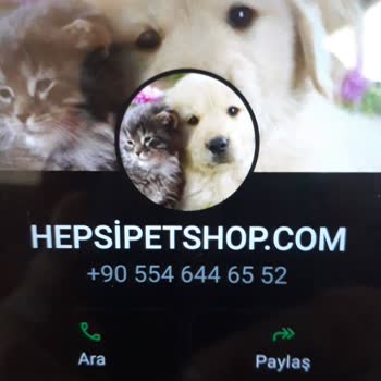 Güvenilir Olmayan Online Alışveriş Sitesi