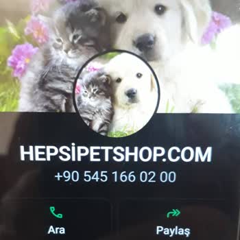 Güvenilir Olmayan Online Alışveriş Sitesi