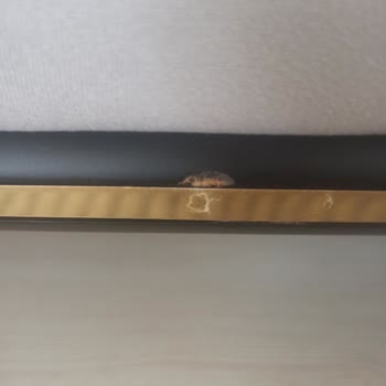 Trendev (Eskişehir) Aldığımız Koltuk Takımı Hayal Kırıklığı Yarattı