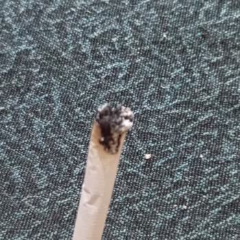 Sigara Kalitesinde Düşüş Ve Kalın Parçalar Sorunu