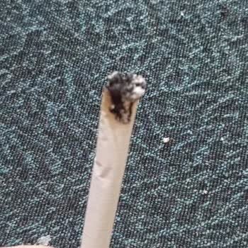 Sigara Kalitesinde Düşüş Ve Kalın Parçalar Sorunu