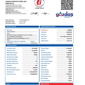 Fatura Şoku: 25 Günde 5 Bin TL!