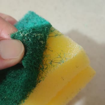 Mintax Süngerlerinde Hijyen Sorunu