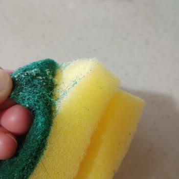 Mintax Süngerlerinde Hijyen Sorunu