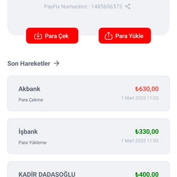 Payfix'te Kaybolan 330 TL