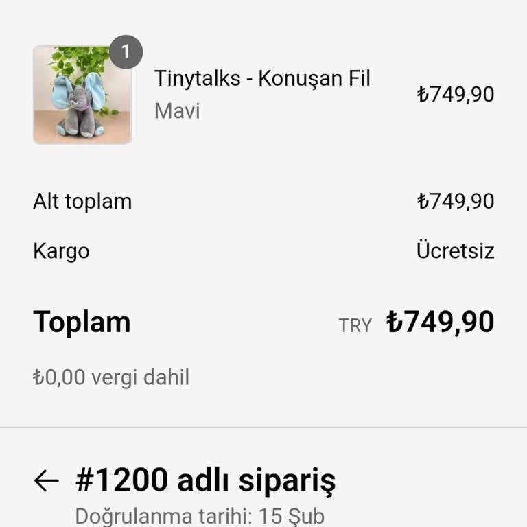 Tinytalks Siparişin Teslim Süresi 7-10 İş Günüydü, Halen Gelmedi!