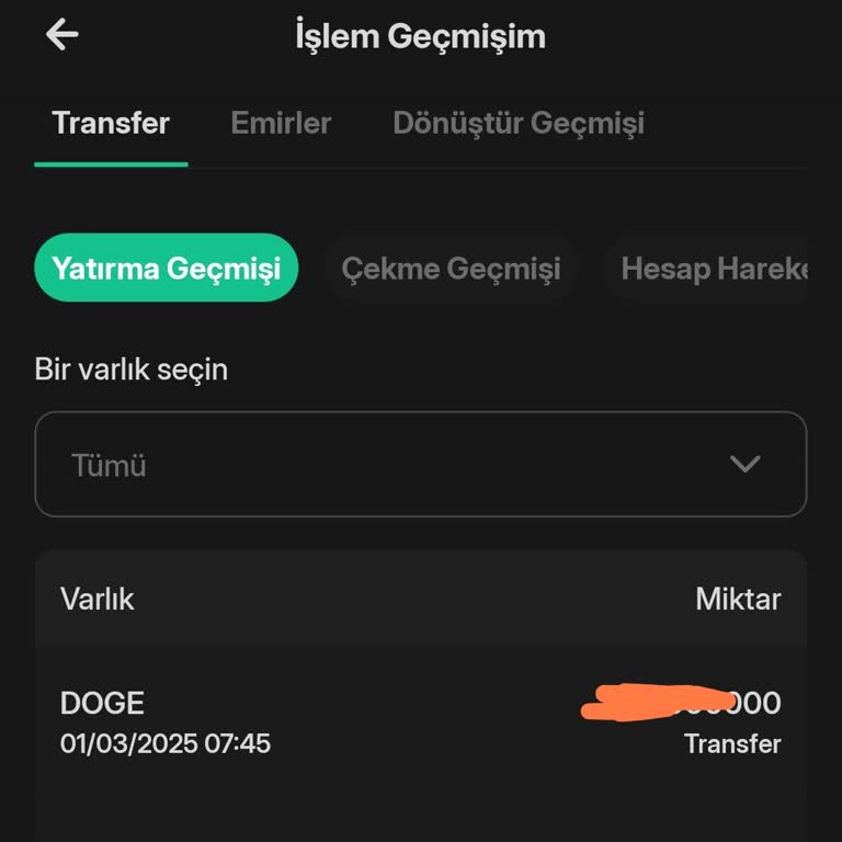 Bitlo'da Dogecoin İşlemi Onaylanmıyor: Mağduriyet Ve Çözüm Arayışı