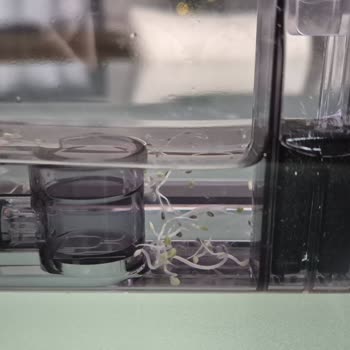 Erikli Su'da Şok Edici Bulgu Ve Yetersiz Müşteri Hizmeti