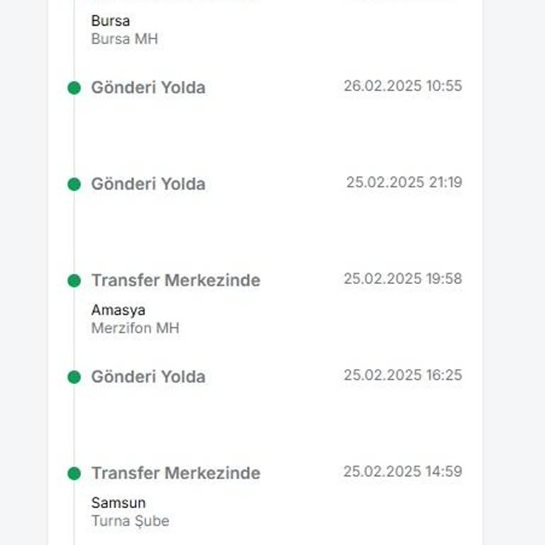 Kargo Teslimatında Bursa'da Yaşanan Gecikme Ve İletişim Sorunları