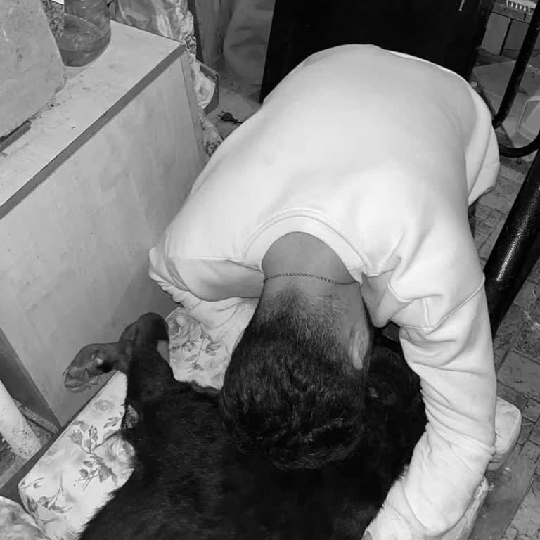 Hastane İhmali Sonucu Kaybedilen Can