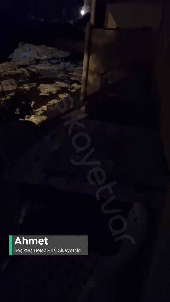 Sokak Köpeği Gürültü Şikayeti, Beşiktaş Belediyesi Duyarsızlığı videonun kapak resmi