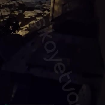 Sokak Köpeği Gürültü Şikayeti, Beşiktaş Belediyesi Duyarsızlığı