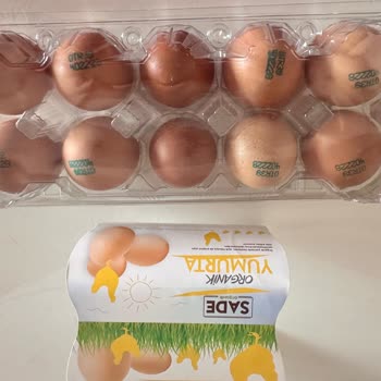 Bursa Onur Market'ten Gelen Bayat Yumurtalar Ve Açıklama Bekleyen Müşteri