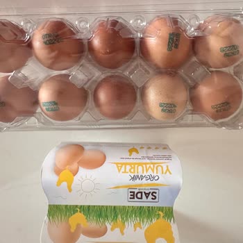 Bursa Onur Market'ten Gelen Bayat Yumurtalar Ve Açıklama Bekleyen Müşteri