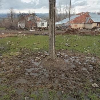 Tehlike Saçan Yüksek Gerilim Direği Ve İlgisiz Yetkililer