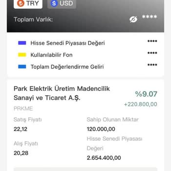 Antarctic Capital İle Yanıltıcı Yatırım Deneyimi