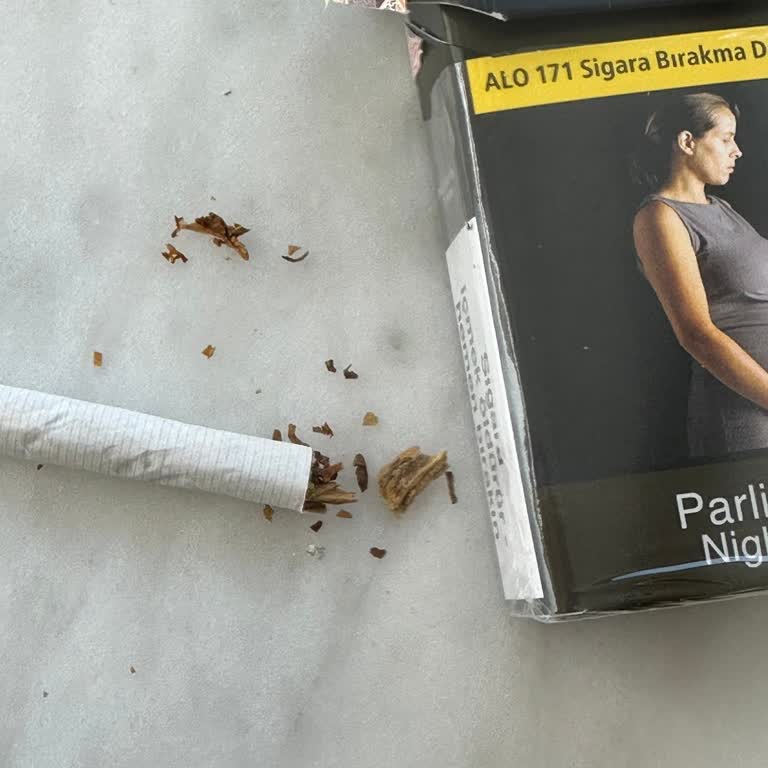 Parlement Sigara Kalitesindeki Düşüş