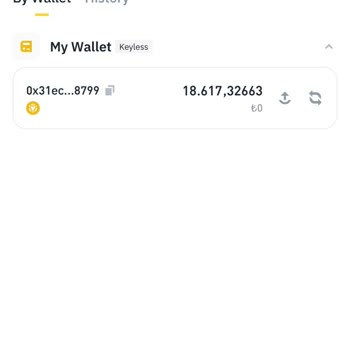 Binance Cüzdanımda Görünen Tokenlerin Fiyatı Neden Yok?