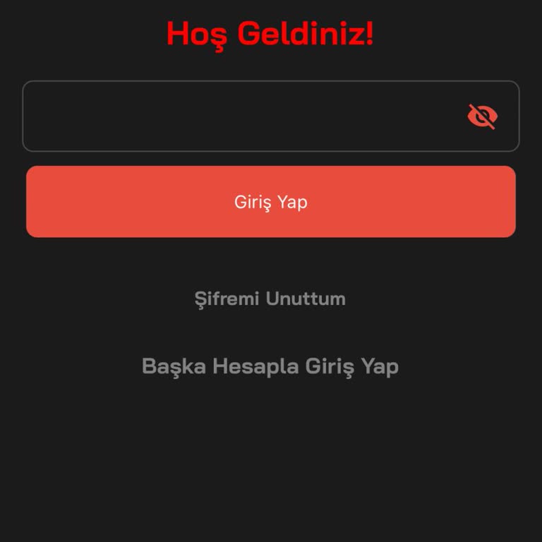 IP Adresi Hatası Nedeniyle Hesaba Erişim Sorunu