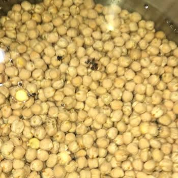 Böcekli Ürün Skandalı: Kim Market'te Hayal Kırıklığı