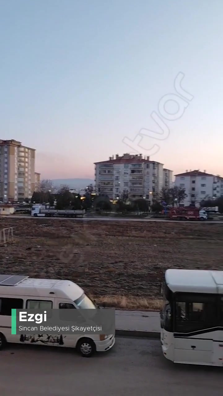 Sincan Belediyesi Sokak Köpekleri Sorunu videonun kapak resmi