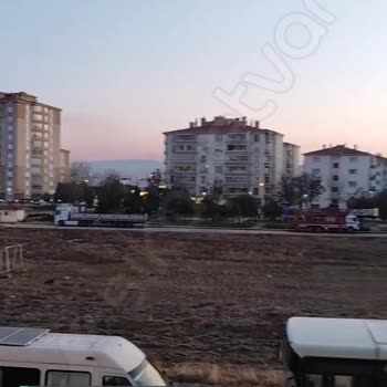Sincan Belediyesi Sokak Köpekleri Sorunu