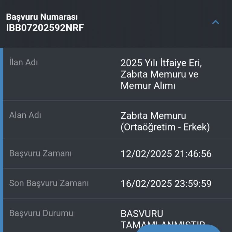 Güvenlik Kodu Sorunu: İBB Başvuru Sorgulama