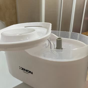 Akıllı Su Pınarı Köpeğimi Hasta Etti