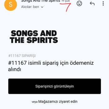 Geciken Kargo Ve Yetersiz Müşteri Hizmeti: Songs And The Spirits