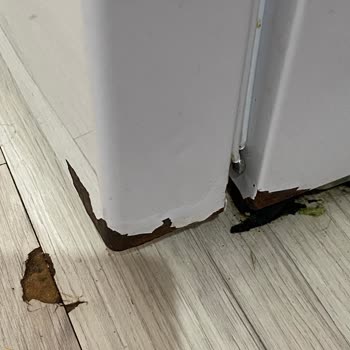 Vestel Buzdolabı Sorunları Ve Memnuniyetsizlik