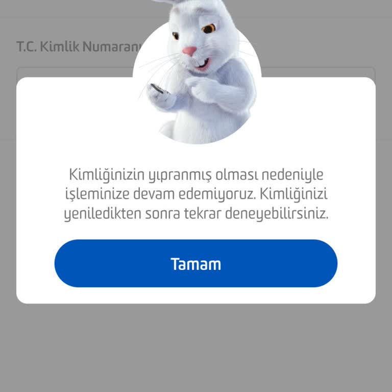 Kimlik Sorunu Mobil Bankacılık Erişimimi Engelliyor