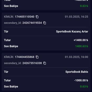 Bakiyem Haksız Yere Silindi, Ana Paramı Bile Ödemediler