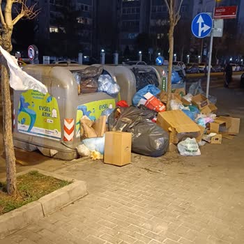 Beylikdüzü'nde Çöp Sorunu: Elit İlçeye Yakışmayan Manzara