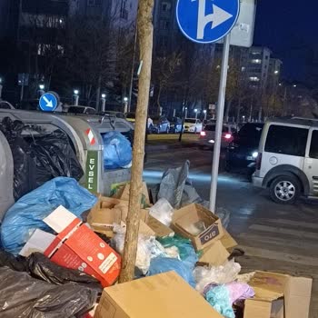Beylikdüzü'nde Çöp Sorunu: Elit İlçeye Yakışmayan Manzara