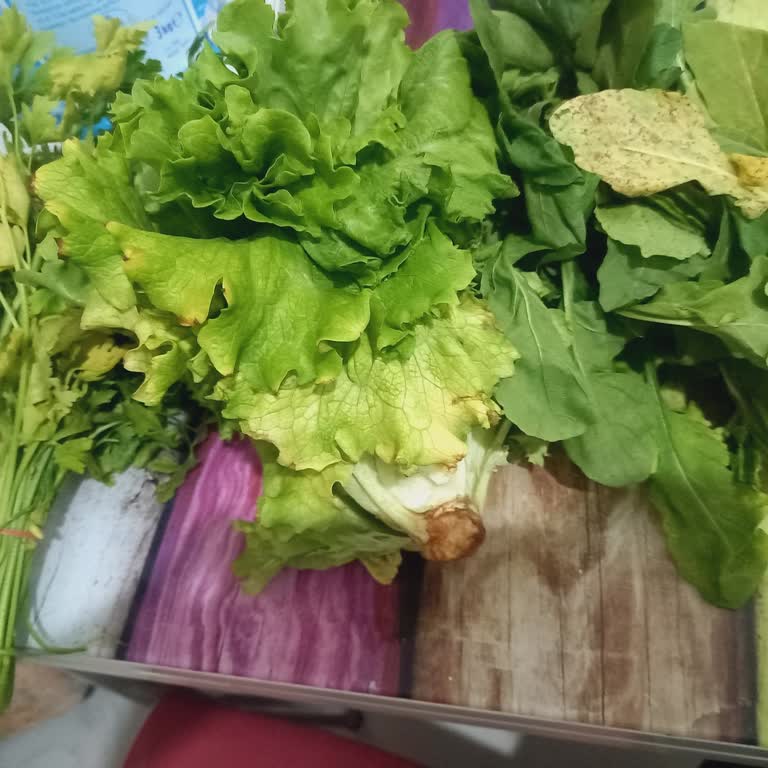 Şok Marketler Siparişlerinde Gecikme Ve Kalitesiz Ürün Sorunu!