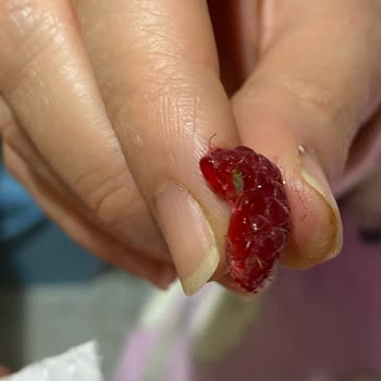 Lavi Marka Frambuazda Böcek Şoku: Güven Sorunu