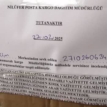 İade Sürecinde Karşılaşılan Zorluklar Ve İlgisizlik