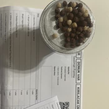 SKT Geçmiş Ürün Ve Müşteri Hizmetleri Sorunu