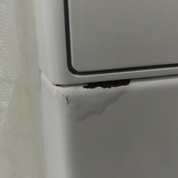 Bosch Çamaşır Makinesi Paslanma Sorunu Ve Müşteri Hizmetleri İlgisizliği