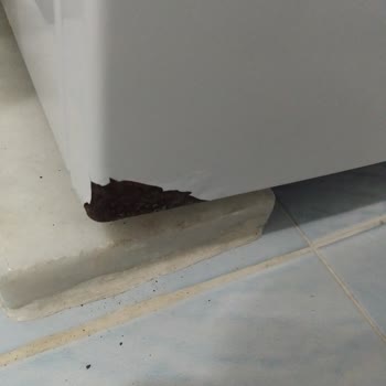 Bosch Çamaşır Makinesi Paslanma Sorunu Ve Müşteri Hizmetleri İlgisizliği