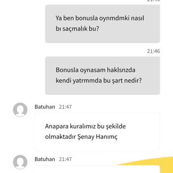 Güven Sorunları Ve Hayal Kırıklığı: Online Platformda Yaşanan Deneyim