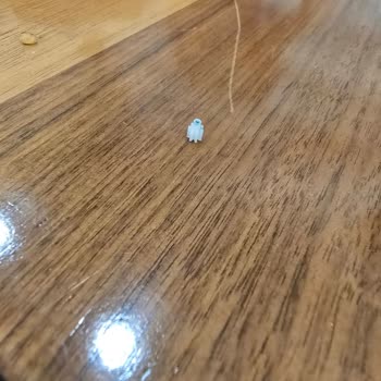 Corby Drone SD03 Yedek Parça Sorunu: Motor Dişlisi Bulunamıyor