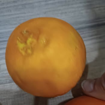 Çürük Portakallar: Yemeksepeti Market'ten Hayal Kırıklığı