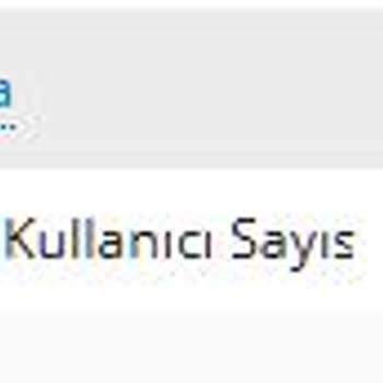 Veritabanı Bağlantı Sorunu Ve Yetersiz Destek